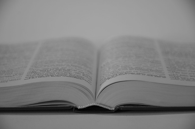 Adwokat – zdjęcie portretowe